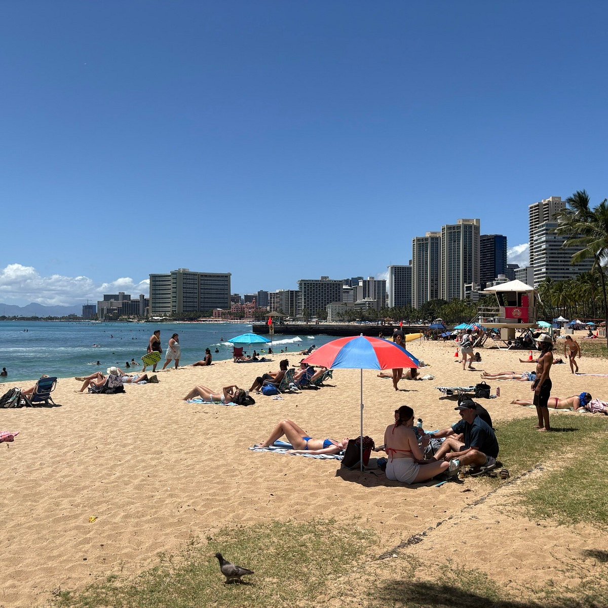 Bãi biển Waikiki với đường bờ biển Honolulu phía sau