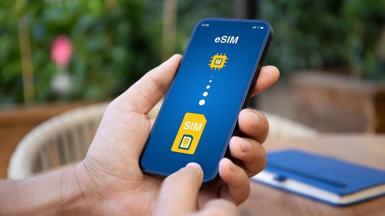 Màn hình điện thoại hiển thị hai đường mạng, một đường eSIM Mỹ bật data và một SIM Việt Nam
