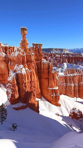 Thor's Hammer from Navajo Loop Trail in Bryce Canyon (2/21/26) | See America's Best | Facebook