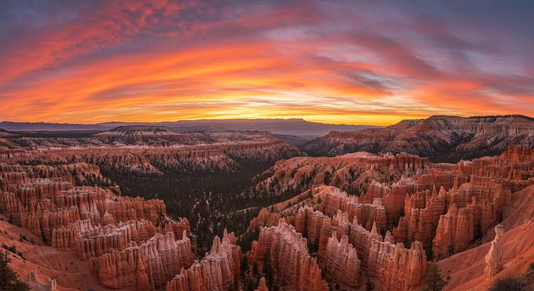 Toàn cảnh Bryce Amphitheater nhìn từ Inspiration Point vào sáng sớm