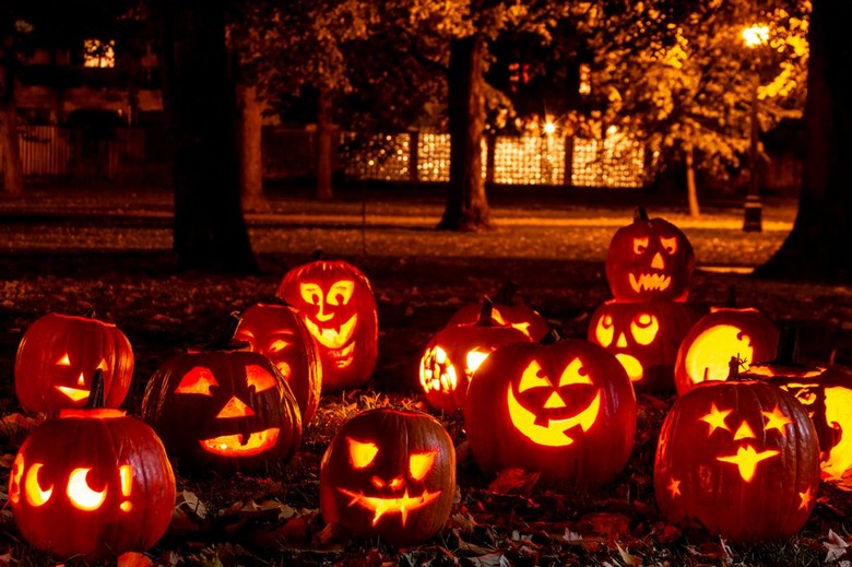 Bí ngô Halloween và khung cảnh mùa thu lá vàng ở Mỹ